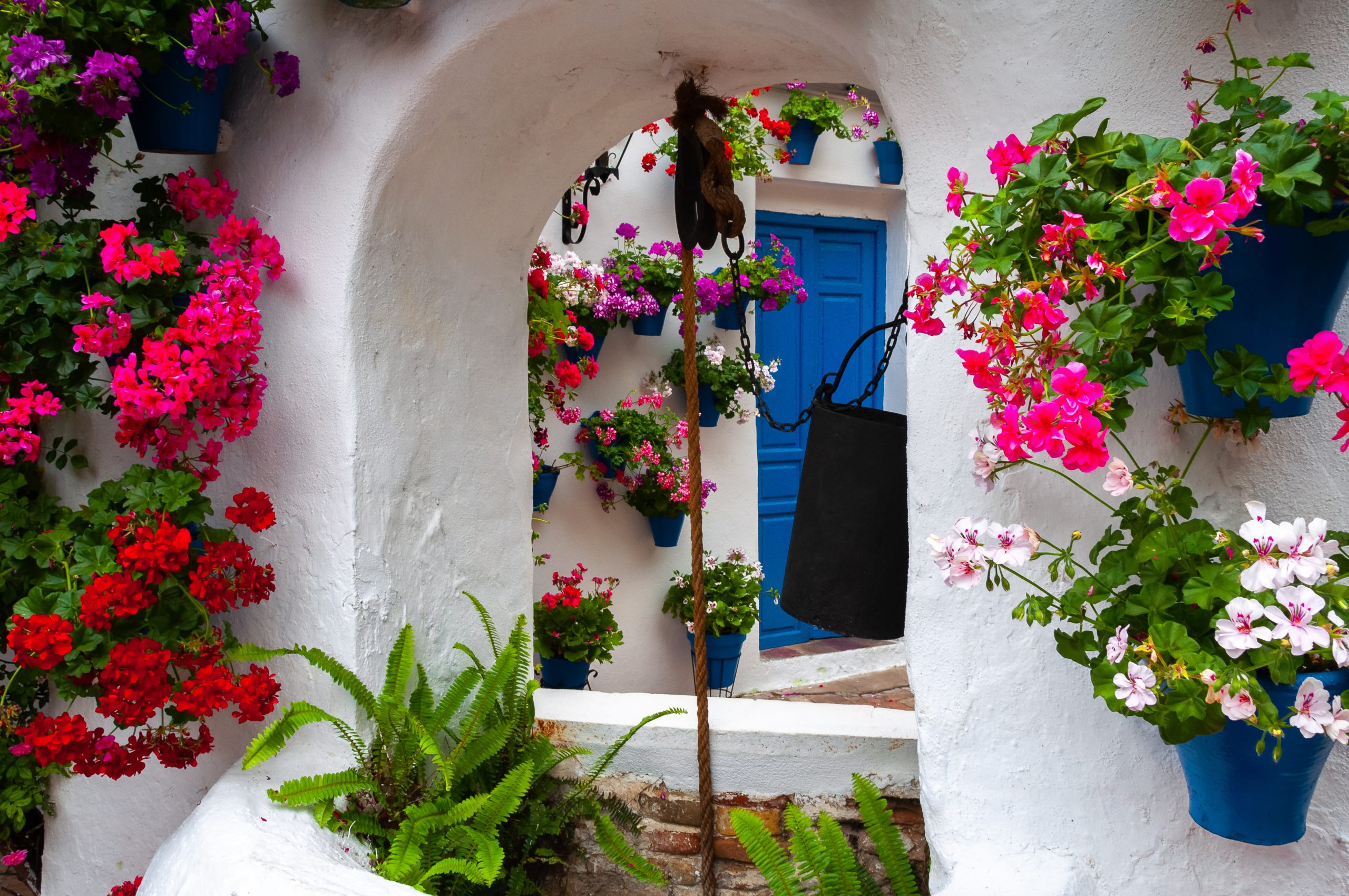 shutterstock_1383944132-copy-scaled