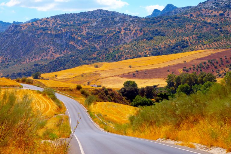 Landscape,On,The,Way,From,Ronda,To,Malaga,In,Andalusia