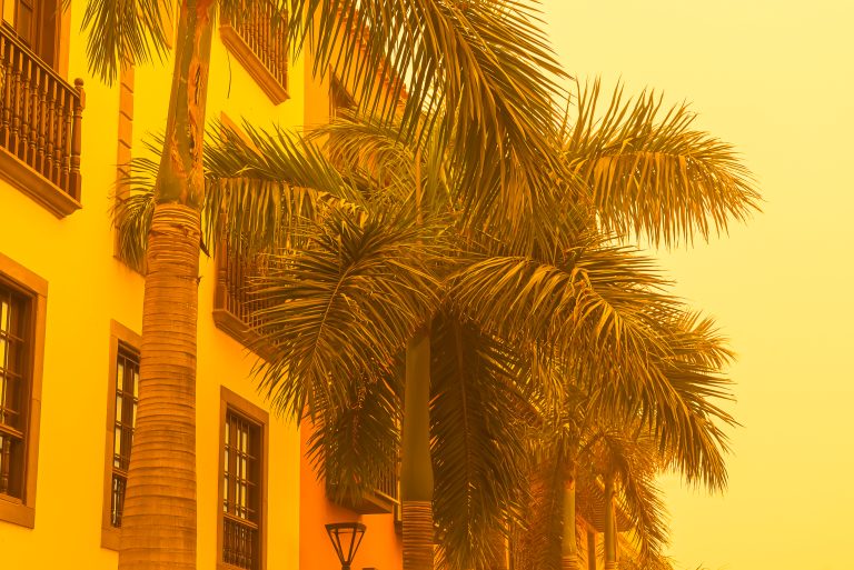 Sand,Storm,Against,Palm,Trees,And,Buildings.,Mist,With,Sand