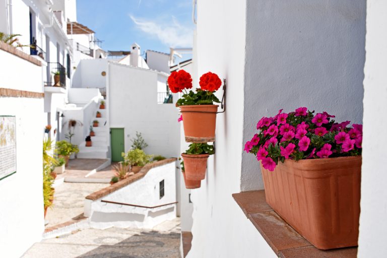 Little,Street,Along,White,Houses,Decorated,With,Flowers,In,Frigiliana,