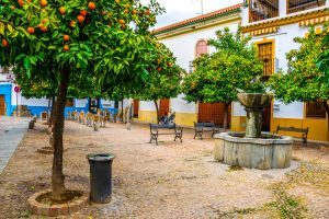 Den andalusiska apelsinen