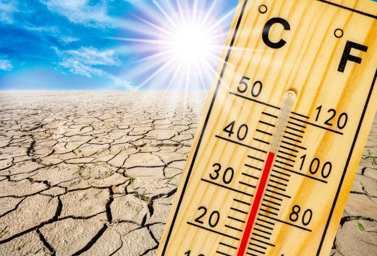 Heat,In,Summer,With,High,Temperature,And,Lack,Of,Water