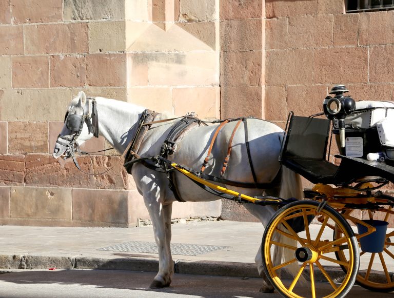 Malaga,,Spain-,August,23,,2014:,Carriage,Waiting,For,Passengers,In