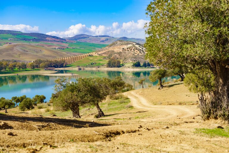 Spanish,Nature,Landscape.,Embalse,Del,Guadalhorce,And,Surrounding,Countryside,With