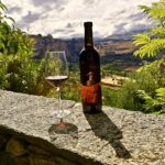 Nattlig druvskörd på Dezcalzos Viejos – kanske Spaniens underligaste vingård