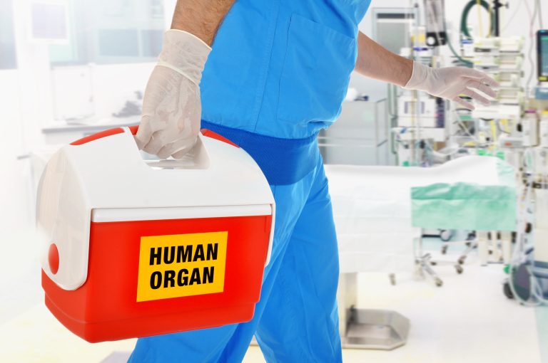 Doctor,Brings,Organ,Donation,For,Organ,Transplantation,In,Op,Of