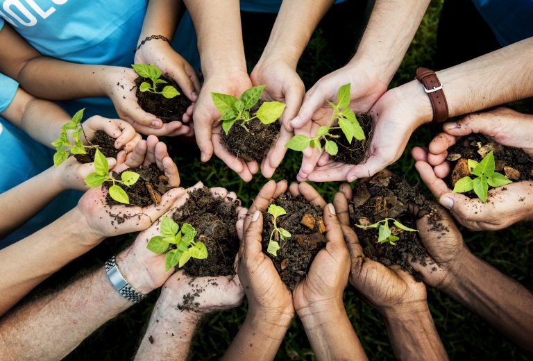 People,Hands,Cupping,Plant,Nurture,Environmental