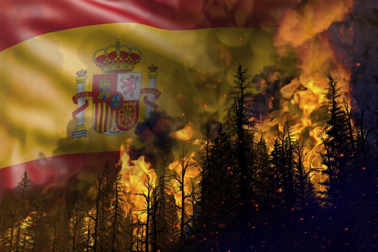 Forest,Fire,Natural,Disaster,Concept,-,Infernal,Fire,In,The