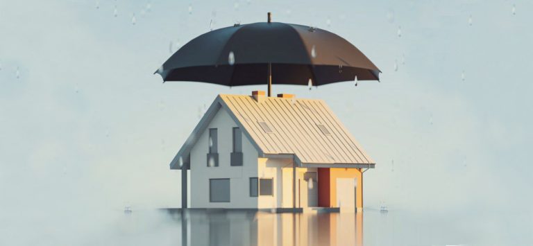 PANEL-ACCESO-NOTICIA_PROTECT-YOUR-HOME-WINTER2