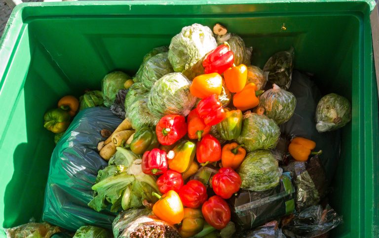 Food,In,The,Garbage,Container