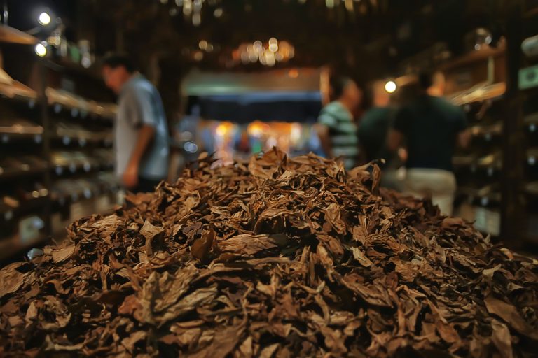 Background,Texture,Tobacco,Leaves,Dry,,Yellow,Leaves,For,Smoking,,Production