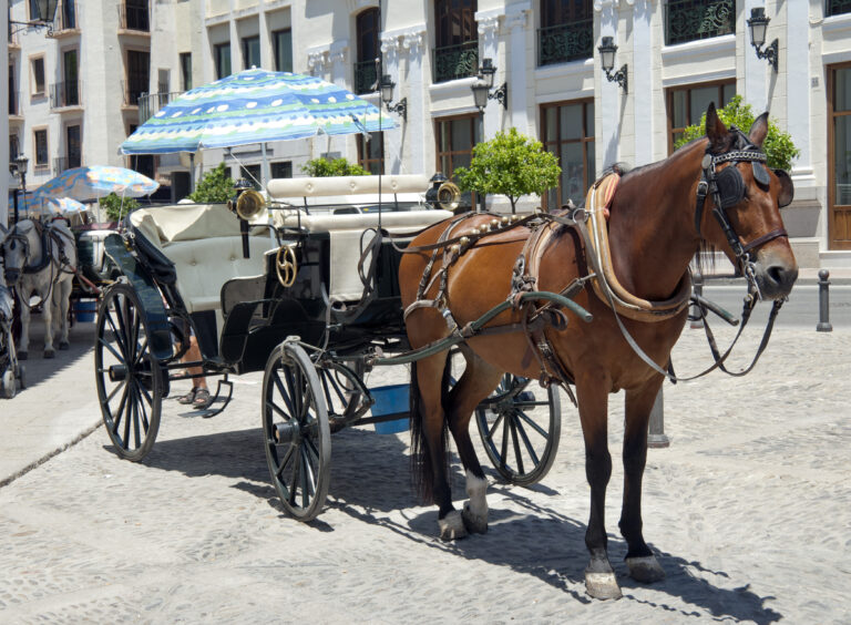 Horse,And,Carriage,For,Hire,,Ronda,,Malaga,Province,,Andalusia,,Spain