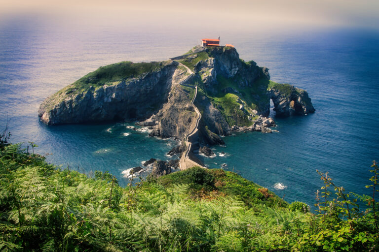 shutterstock_1459616555