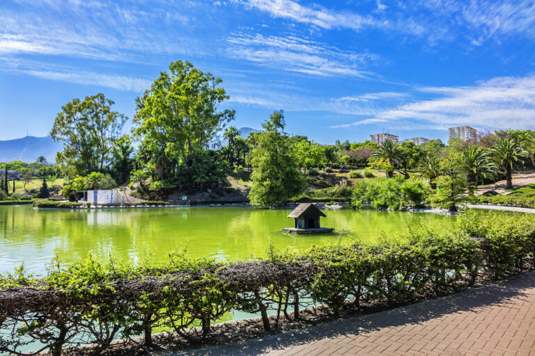 View,Of,The,Beautiful,Public,Paloma,Park,(parque,De,La