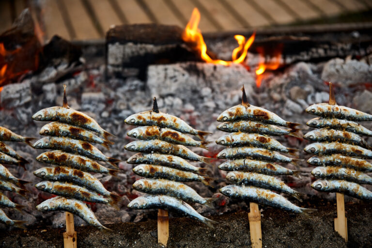 Sardine,Spits,On,The,Coats,Del,Sol,Spain