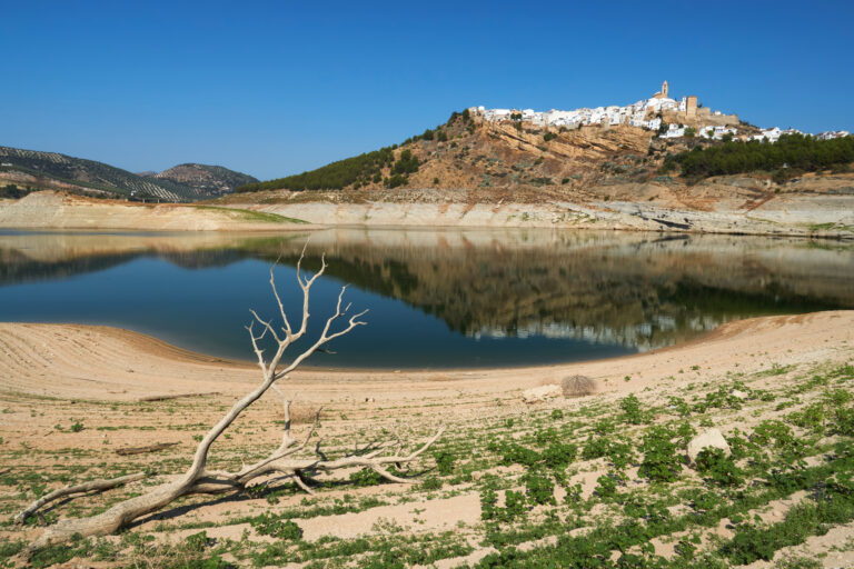 Iznajar,Swamp,With,Drought,Due,To,Lack,Of,Rain.,Andalucia,