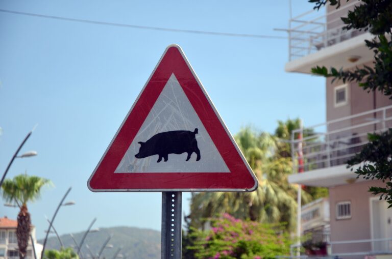 Road,Sign.,In,Marmaris,,Wild,Boars,Often,Enter,The,City