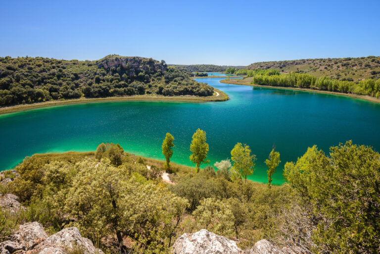 shutterstock_511234984