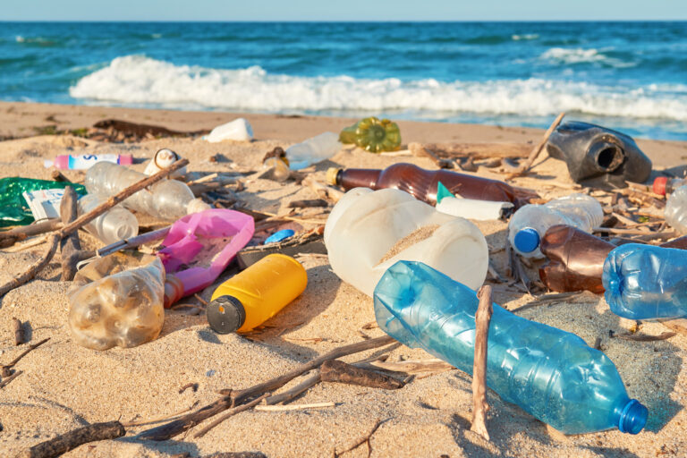 Spilled,Garbage,On,The,Beach,Of,The,Big,City.,Empty