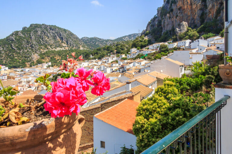 Red,Pelagonium,And,View,Over,Ubrique,,Cadiz,Province,,Spain