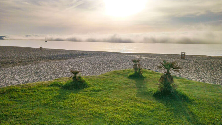 AA-FOTO.Taro_.ES_.juli-23-enhanced