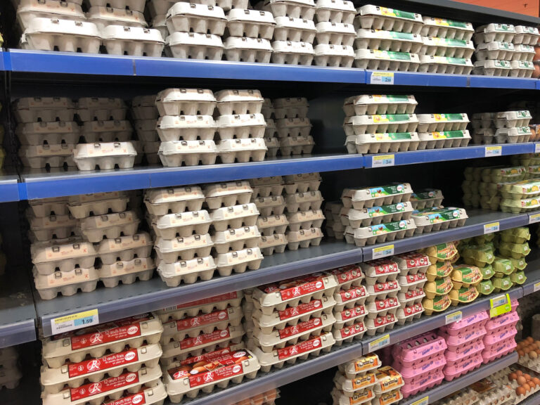 shutterstock_1124457482