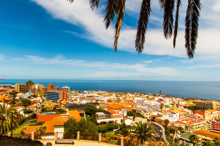 Landscape,Of,The,Coast,With,Palm,Leaves,From,The,Taoro