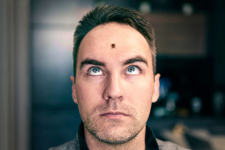 A,Tick,Crawls,On,The,Head,Of,A,Man.,A