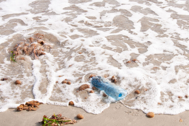 Coast,Of,The,Mediterranean,Sea.,Algae,Posidonia,Oceanica,,Garbage,,Plastic