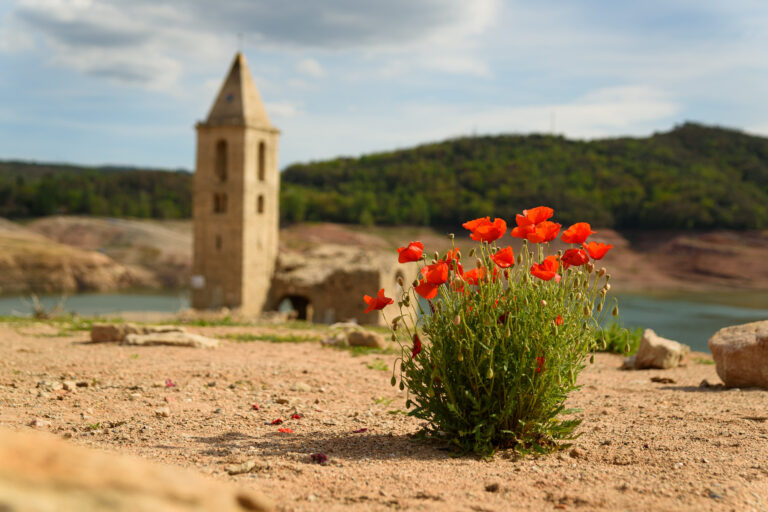 Sau,,Spain,,An,Old,Bell,Tower,Is,Seen,At,The
