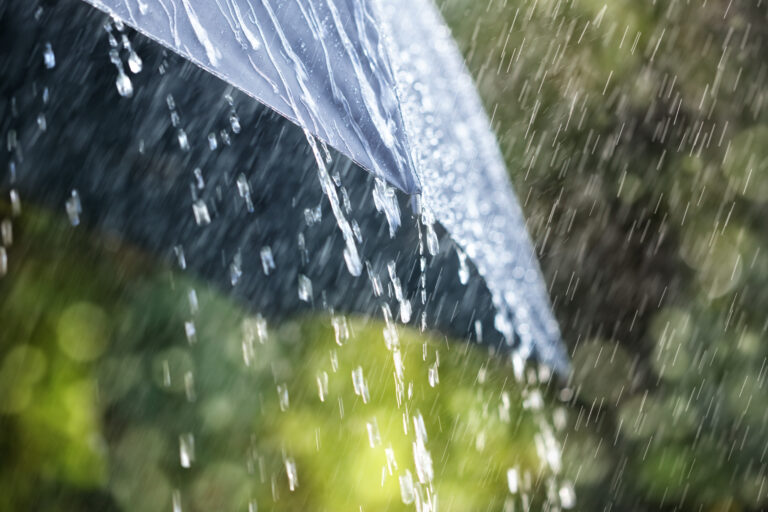 Rain,Drops,Falling,From,A,Black,Umbrella,Concept,For,Bad