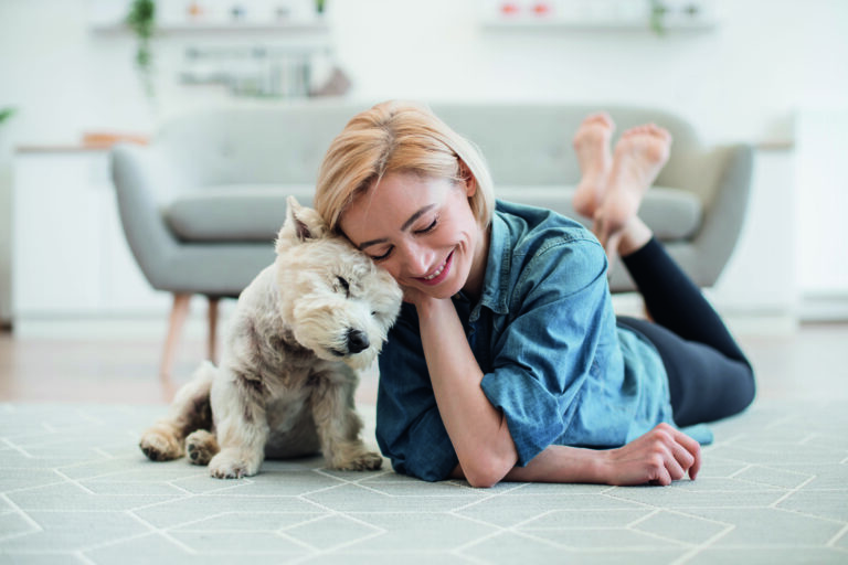 Adult and Westie snuggling with heads while staying on floor