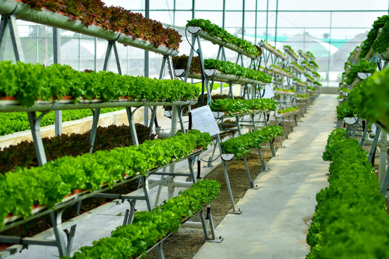 Hydroponic,Vertical,Farming,Systems