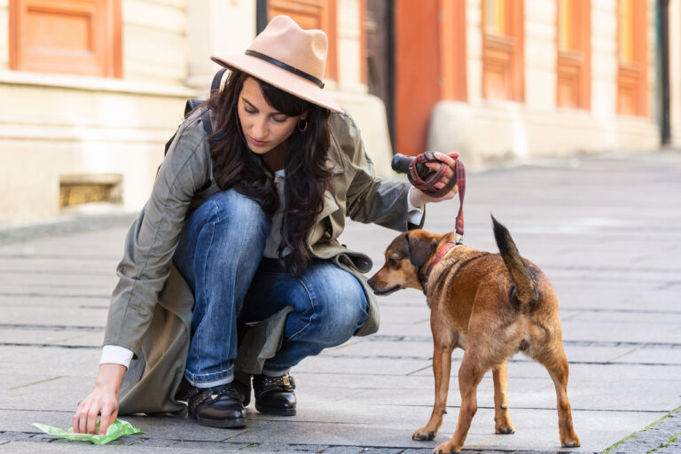 Young,Woman,Cleaning,Dogs,Excrement,On,Street,,Pet,Owner,Picks