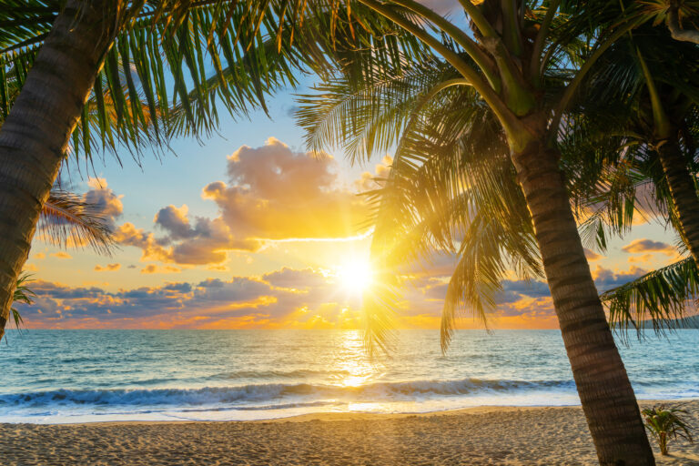 Amazing,Sunset,At,The,Tropical,Beach
