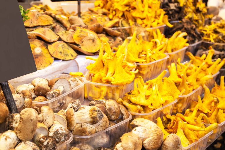Mushrooms,For,Sale,,Barcelona,,Spain