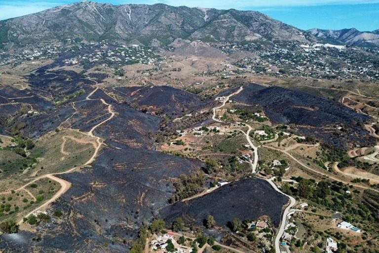 Screenshot 2023-11-15 at 12.13.58