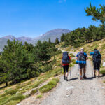 Utflyktsidéer från Andalusiens ymnighetshorn