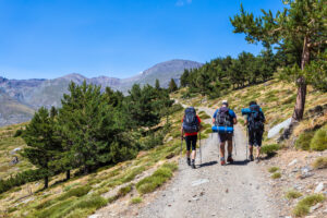 Utflyktsidéer från Andalusiens ymnighetshorn