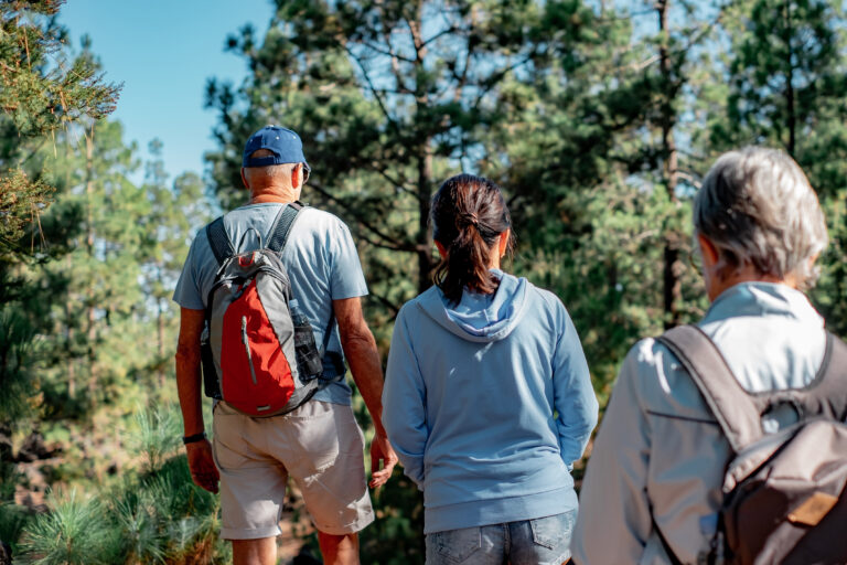 Back,View,Of,Group,Of,Caucasian,Senior,People,Walking,In