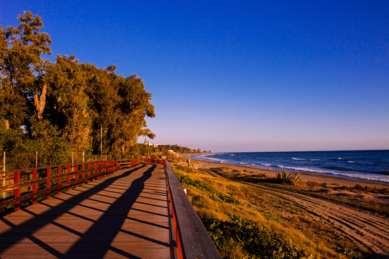 Promenade.,Beach,And,Promenade,Of,Marbella.
