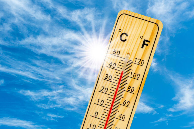 Heat,In,Summer,With,High,Temperature,And,Lack,Of,Water