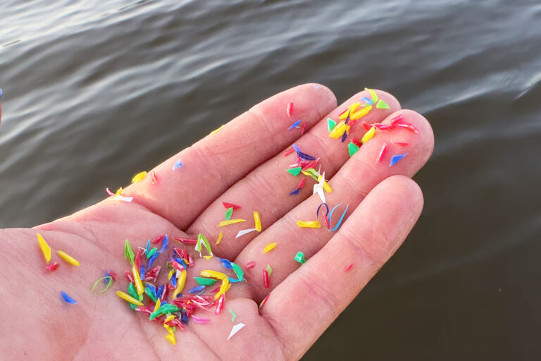 Microplastics,On,Hand,From,Lake.,Micro,Waste,In,Water,Fauna.