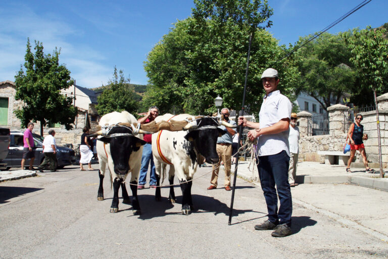 Bustarviejo,,Madrid.,26,08,2018.,Viii,Edition,Of,The,Field