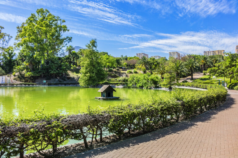 View,Of,The,Beautiful,Public,Paloma,Park,(parque,De,La