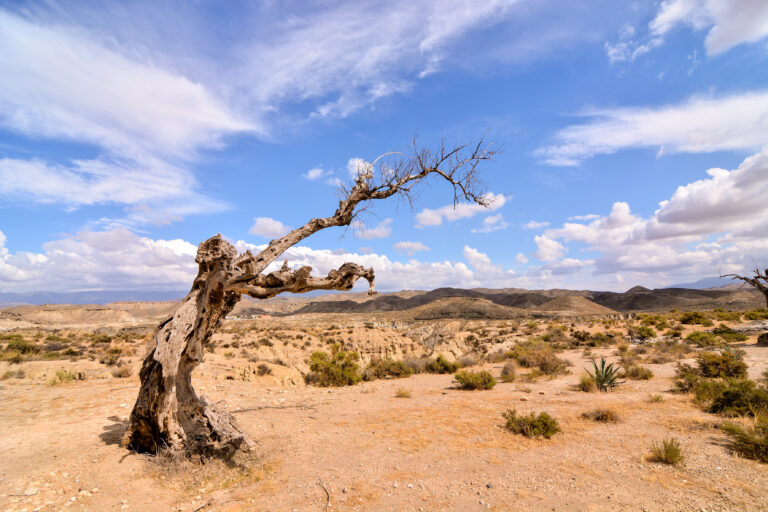 View,Of,The,Desert,Tabernas,In,Almeria,Province,Spain