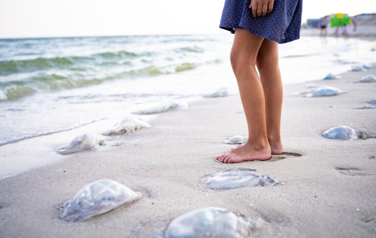 A,Beautiful,Cautious,Tanned,Girl,With,A,Light,Scythe,Frame