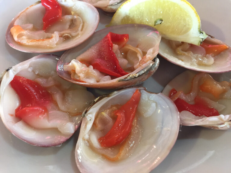 Conchas,Finas,:,Málagas,Raw,Clam