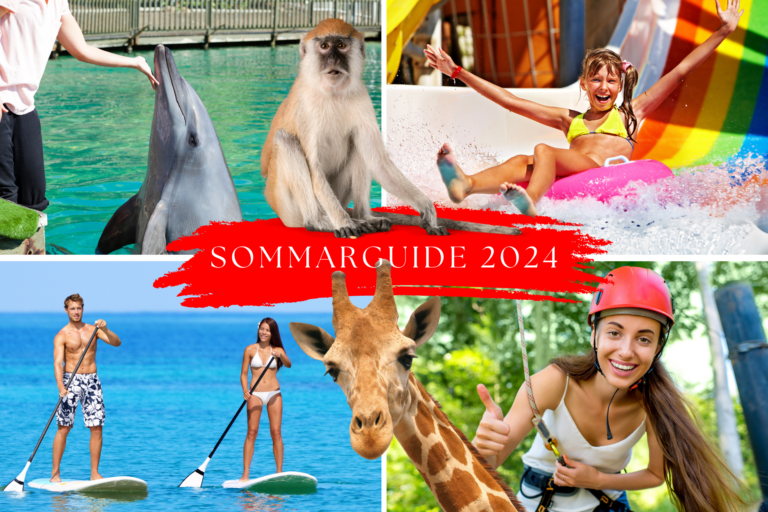 sv SOMMERGUIDE 2024