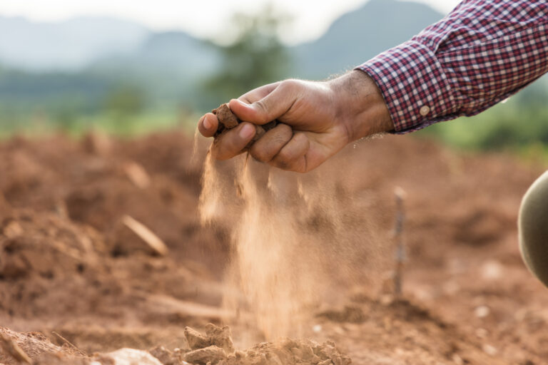 Expert,Hand,Of,Farmer,Checks,Quality,Of,Soil,Before,Sowing.